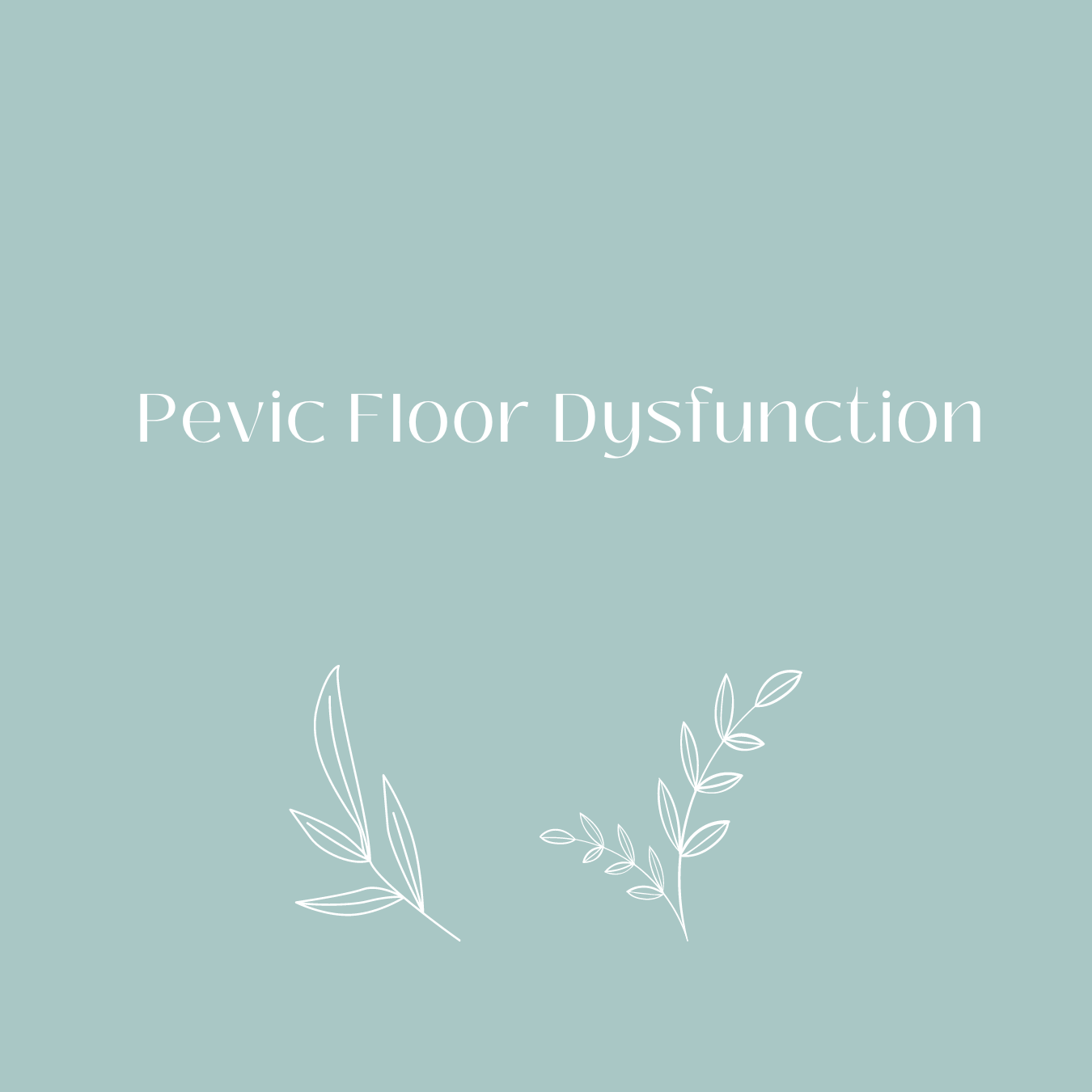 The Signs of Pelvic Floor Dysfunction